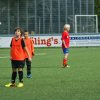 2013-minikamp