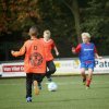 2013-minikamp