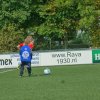 2013-minikamp