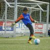 2013-minikamp