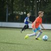 2013-minikamp