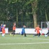 2013-minikamp