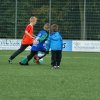 2013-minikamp