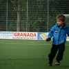 2013-minikamp