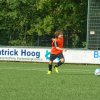 2013-minikamp