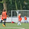 2013-minikamp