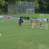 2013-minikamp