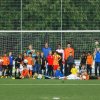 2013-minikamp