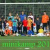 2013-minikamp
