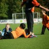 2013-minikamp