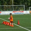 2013-minikamp