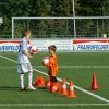 2013-minikamp