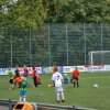 2013-minikamp